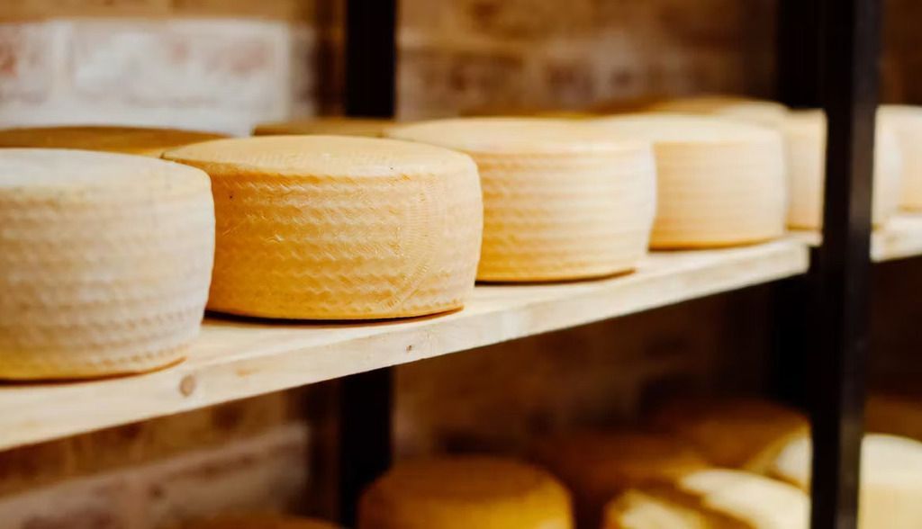 ¿Se puede hacer queso sin leche?