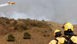 La toma de decisiones en una gran emergencia: cuando la realidad cambia más deprisa que la información disponible