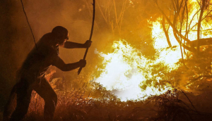 ¿Cómo hemos llegado a esta situación con los incendios forestales en España? Echamos la vista atrás para buscar las causas
