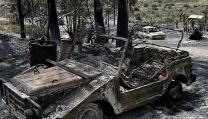 Los Gallardos: la gravedad de algunos incendios ya no se mide en hectáreas, sino en vidas