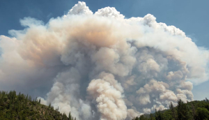 De tormentas eléctricas a remolinos de fuego: los incendios forestales pueden generar su propio clima