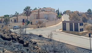 Ocho actuaciones para mejorar la gestión del riesgo de incendio y proteger a la población