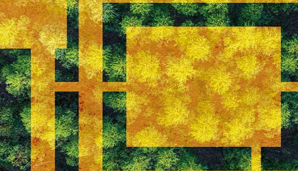 El ocaso del consenso verde en Europa