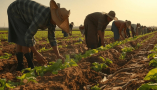 Población extranjera trabajando en el sector de la agricultura en España. 