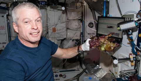 Imagen facilitada por la NASA del astronauta Steve Swanson con una de las lechugas cultivadas en 2014 en la ISS. EFE/NASA