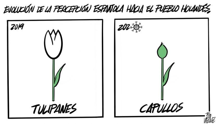 “Tulipanes”