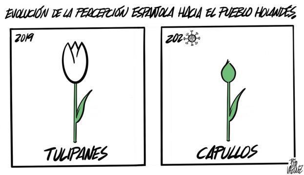 “Tulipanes”