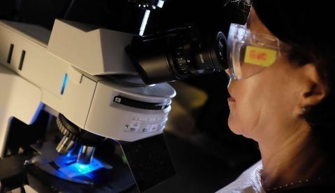 El próximo 11 de febrero es el Día Internacional de las Mujeres y las Niñas en la Ciencia. EFE/Archivo