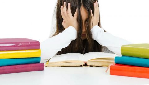 La Educación Primaria pondrá énfasis en prevenir las dificultades de aprendizaje