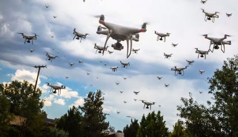 ¿Pájaros o drones?