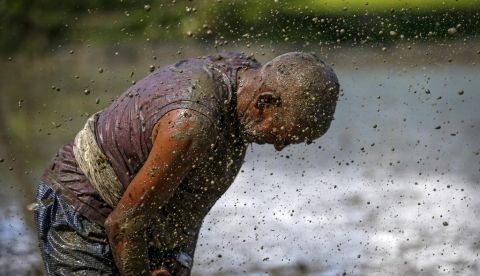 Un agricultor trabaja en un arrozal. EFE/Archivo