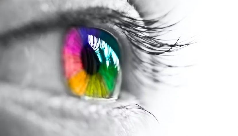 Delpixel / Shutterstock