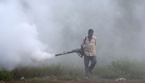 La investigación de la Escuela de Medicina Tropical de Liverpool (el Reino Unido), que combina la secuenciación genética con estudios de campo sobre la alimentación de mosquitos, subraya la necesidad de desarrollar nuevos insecticidas para mosquiteras o toldillos, una piedra angular de los esfuerzos de control de la malaria. EFE/Archivo