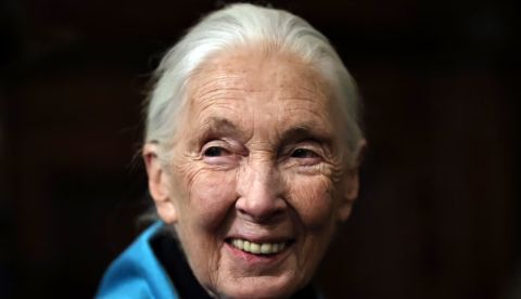 Jane Goodall: “Cada individuo elige el impacto que tiene en el planeta”