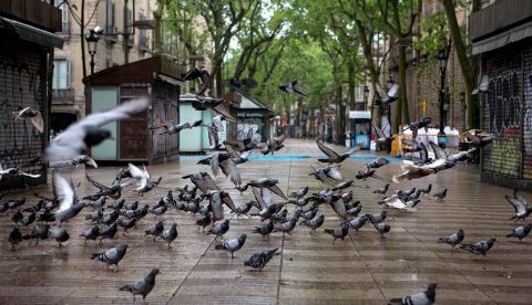 Madrid, Barcelona y Bilbao, las ciudades con la movilidad más sostenible