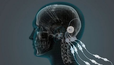 ¿Puede el cerebro escoger los amigos? ¿y Facebook leerte la mente?