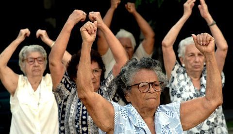 Científicos descubren que una molécula puede alargar la vida hasta 5 años / EFE
