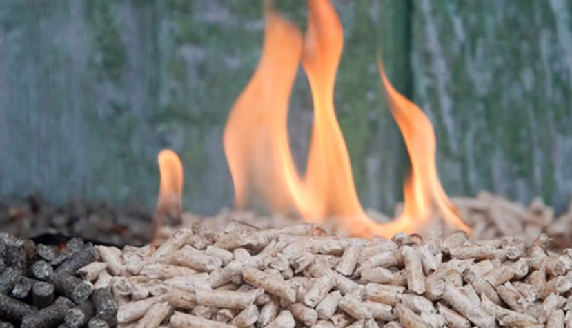 Americanheritagebiomass / Wikimedia Commons, CC BY-SA