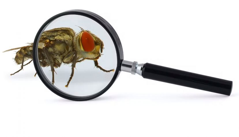 Shutterstock / worker