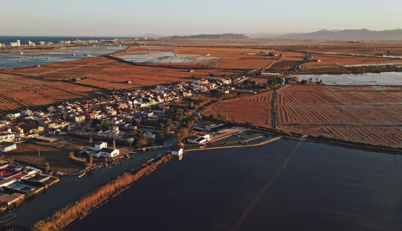 El Palmar, en la Albufera de Valencia (España). Los pesticidas empleados en los campos de arroz afectan a los ecosistemas acuáticos. Ruben Hornillo / Shutterstock