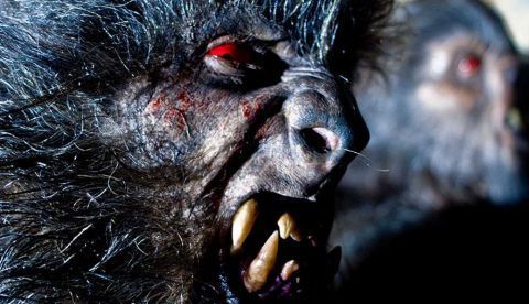 La licantropía, eje temático del próximo Festival de Cine de Sitges