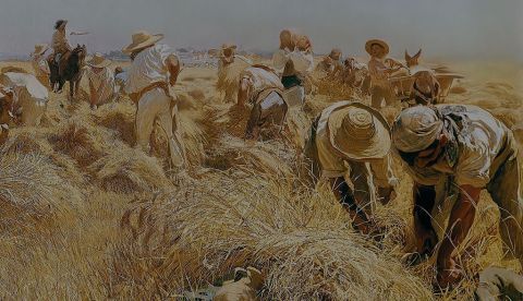 Ediciones fraudulentas del Informe sobre la Ley Agraria