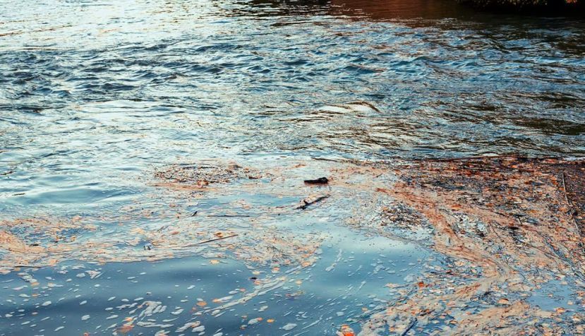 Contaminación en el río Ebro a su paso por la provincia de Zaragoza. Shutterstock / clemente lasala