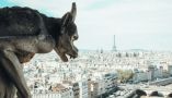 The view of the gargoyles on the roof of the Notre-Dame cathedral. Claudio Mota/Unsplash