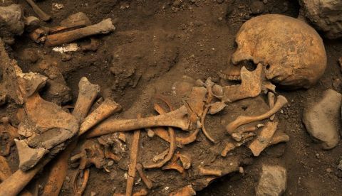 Restos de un morador de Atapuerca. 