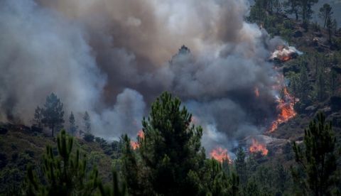 Incendio declarado en el transfronterizo Parque del Gerês-Xurés entre España y Portugal, en el que una aeronave portuguesa ha caído este sábado provocando la muerte de uno de los pilotos, de nacionalidad portuguesa, mientras el segundo piloto, español, ha resultado herido grave. EFE/Brais Lorenzo