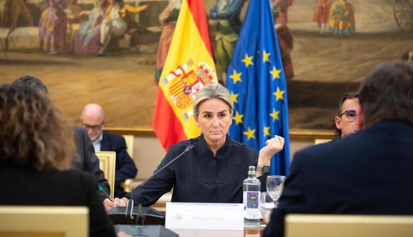 La ministra de Educación, Formación Profesional y Deportes, Milagros Tolón, durante la reunión de la Conferencia Sectorial. / © lamoncloa.gob.es. Ministerio de la Presidencia.