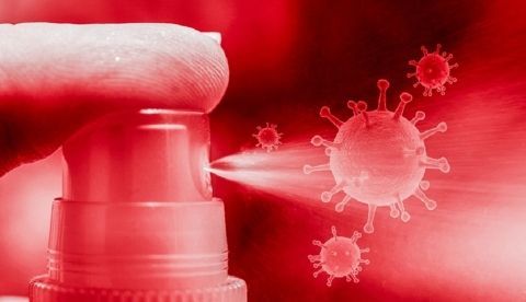 El spray bucal utilizará biomoléculas para atrapar al virus e impedir su propagación. EFE/Foto cedida por CSIC 