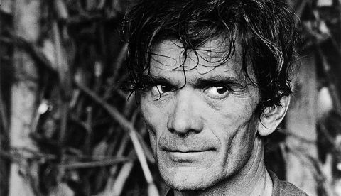 El centenario de Pier Paolo Pasolini (1922-1975), nos sale al paso... ¿estaremos a la altura?