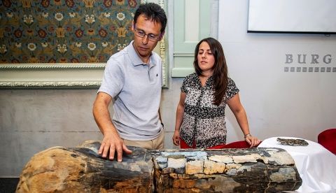 Foto de archivo de Fidel Torcida (i), director del yacimiento de dinosaurios Valdepalazuelos-Tenadas del Carrascal, de Torrelara (Burgos), y la restauradora del Museo de los Dinosaurios de Salas de los Infantes, Caterine Arias. EFE
