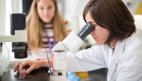 Científicos del Instituto de Bioingeniería de Cataluña (IBEC) han conseguido crear minirriñones íntegramente con células madre humanas, dotarlos de riego sanguíneo y hacerlos similares al de un embrión de seis meses, todo ello en un procedimiento que dura solo 20 días, en una investigación liderada por Nuria Montserrat, (en la imagen) que publica la revista "Nature Materials".EFE