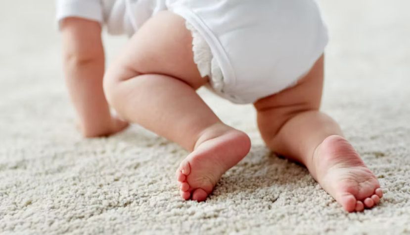 Ground Picture/Shutterstock
