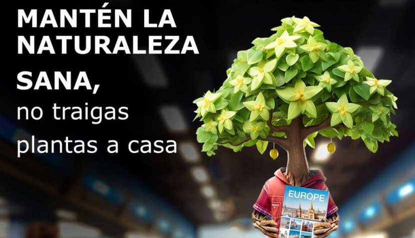 Nueva campaña europea para concienciar a la ciudadanía sobre la protección de plantas, sanidad vegetal y evitar la llegada de plagas