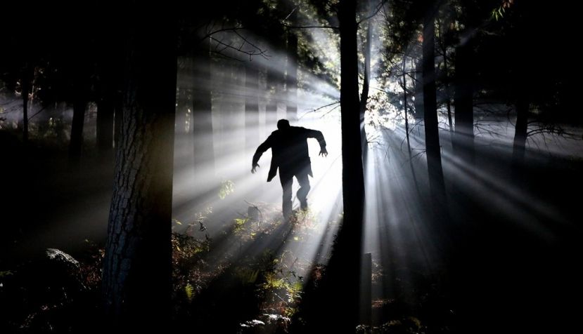 El despotismo de los Frankenstein: Codicia y vanidad