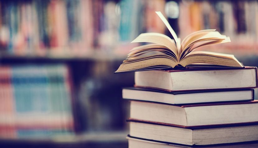 Una reflexión: Educación literaria o instrucción literaria