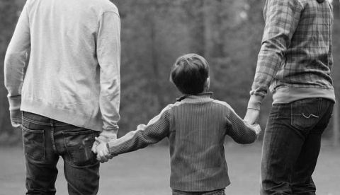 Diversidad familiar y el espíritu de una ley