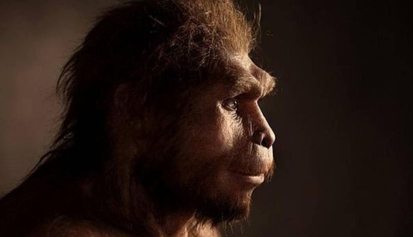 La llegada de Homo sapiens al norte de Europa sucedió hace 45 000 años, según nuevos hallazgos
