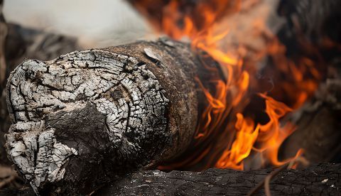 Filomena: de los riesgos de la nieve a los de los incendios