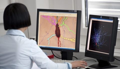 Animación en 3D de una neurona cerebral, EFE/Laurent Gillieron