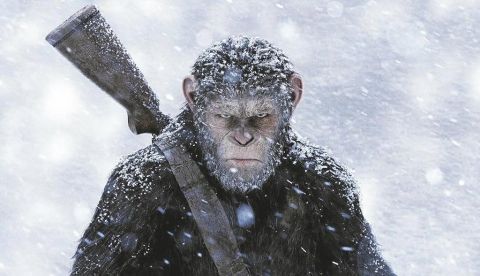 Fotograma de la película el planeta de los simios