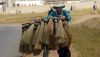People trained in the informal sector are equally skilled or better than those who attended formal training. ALEXANDER JOE/AFP via Getty Images