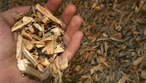 La biomasa es la mayor fuente de energía renovable a nivel mundial y, en términos de consumo, más del 13 % de toda la energía consumida proviene de productos de biomasa, incluidos pellets, biocombustibles, biogas, astillas de madera y carbón vegetal, entre otros, mientras que representa más del 70 % de todo el consumo de energía renovable. EFE/Alfonso Castillo/Archivo