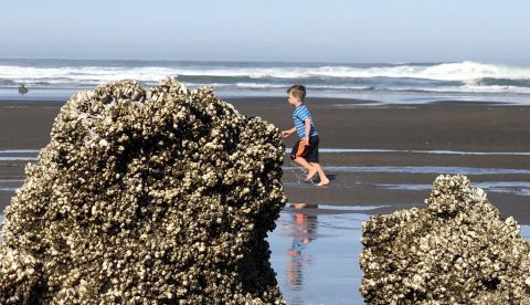 Los niños más expuestos a la naturaleza tienen mejor salud mental de adultos. EFE/Archivo