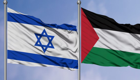  Bandera israelí y palestina. Javas95/Shutterstock