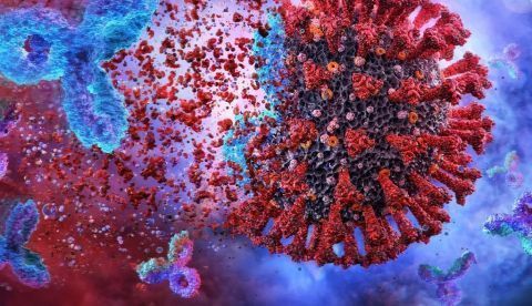 Células inmunitarias de pacientes curados muestran eficacia contra el virus