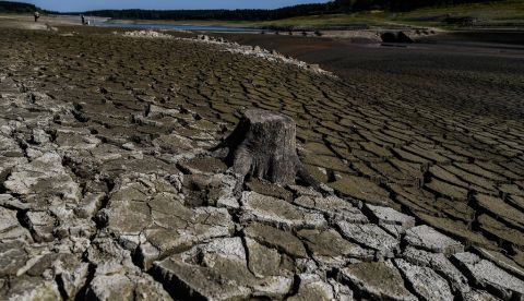 Un equipo internacional de investigadores ha constatado que la materia orgánica se descompone más rápidamente en las áreas más cálidas y húmedas del planeta. EFE/Archivo